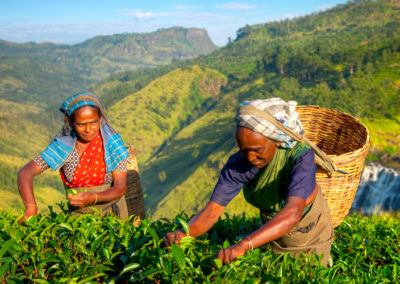 Sri Lanka Household Income and Expenditure Survey