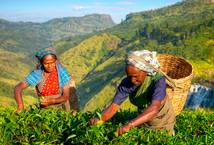 Sri Lanka Household Income and Expenditure Survey