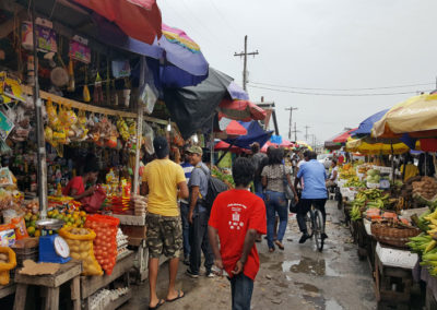 Guyana Labor Force Survey (GLFS)