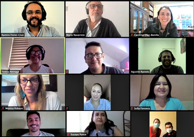 Phone Surveys Workshop for National Statistics Offices