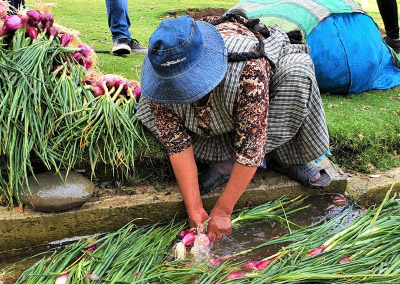 Agricultural Survey amid COVID-19 in Bolivia
