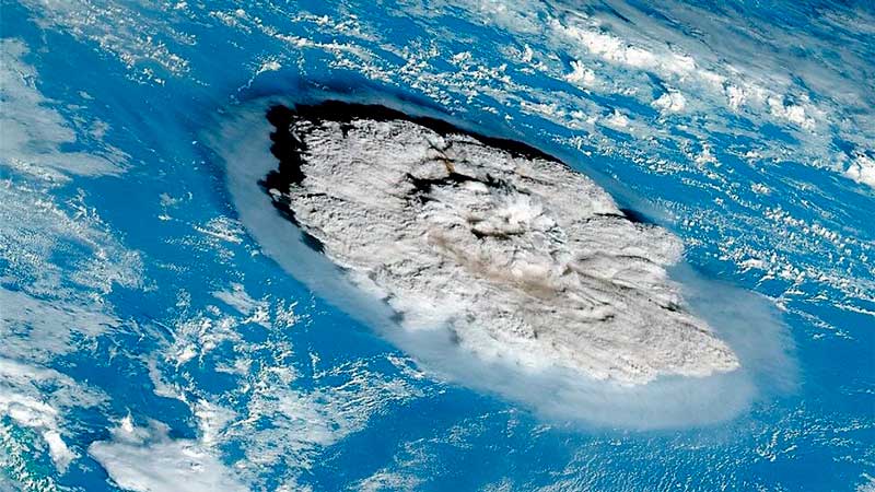Tonga High-Frequency Phone Surveys (HFPS)